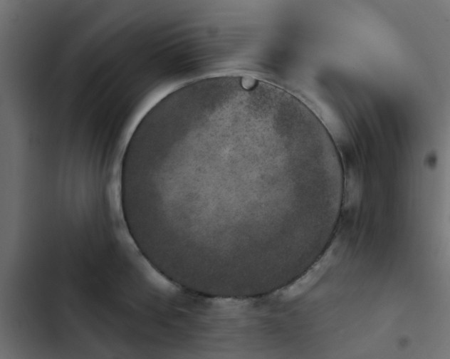 X0000103950812200809261747