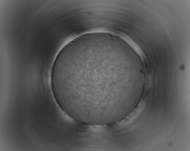 X0000103950813200809261747