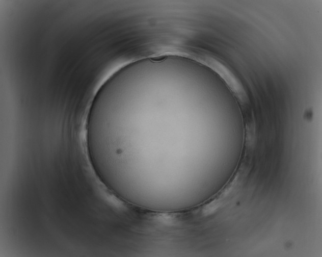 X0000103950814200809261747