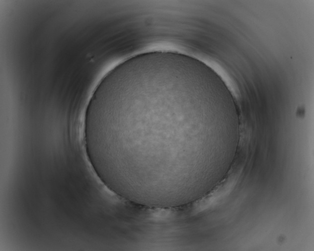 X0000103950815200809261747