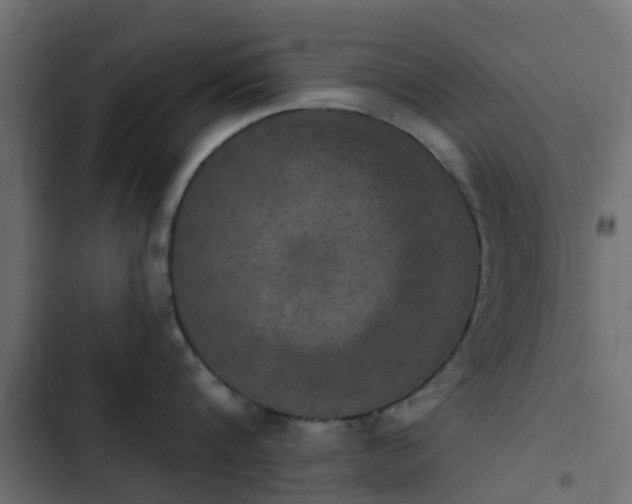 X0000103950816200809261747