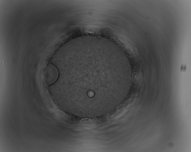 X0000103950817200809261746