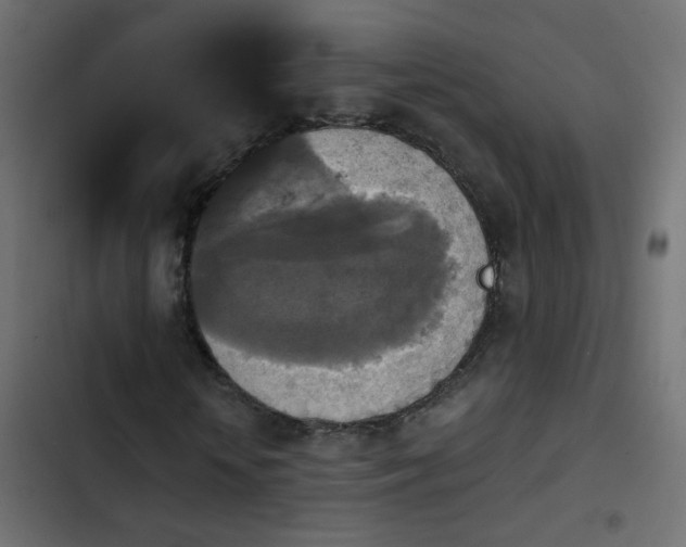 X0000103950818200809261746