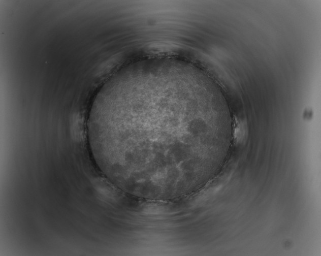 X0000103950819200809261746