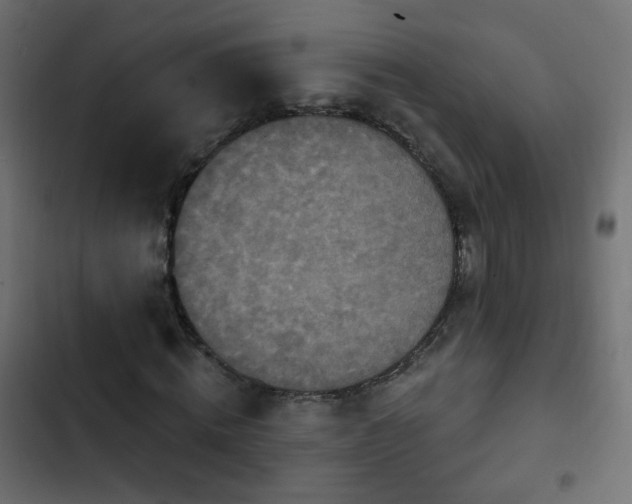 X0000103950820200809261746