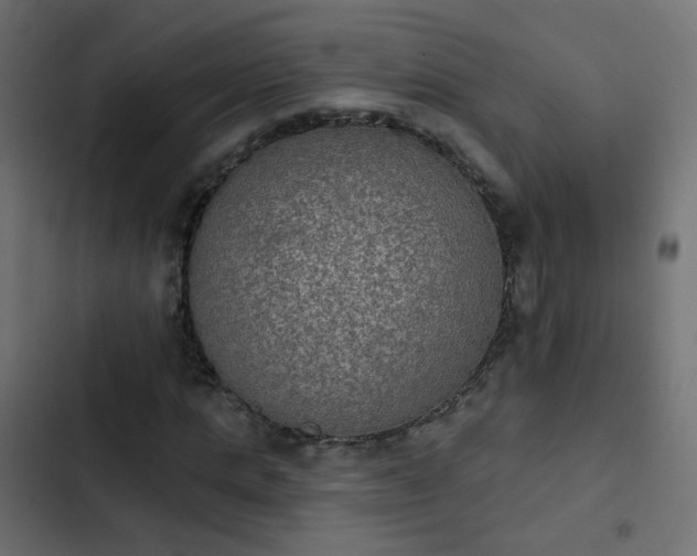 X0000103950821200809261746