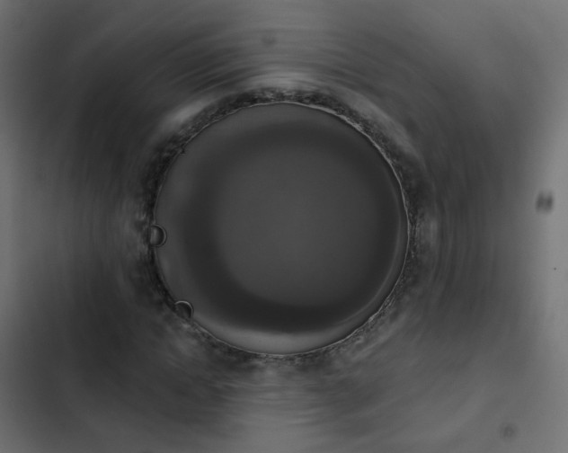 X0000103950822200809261746