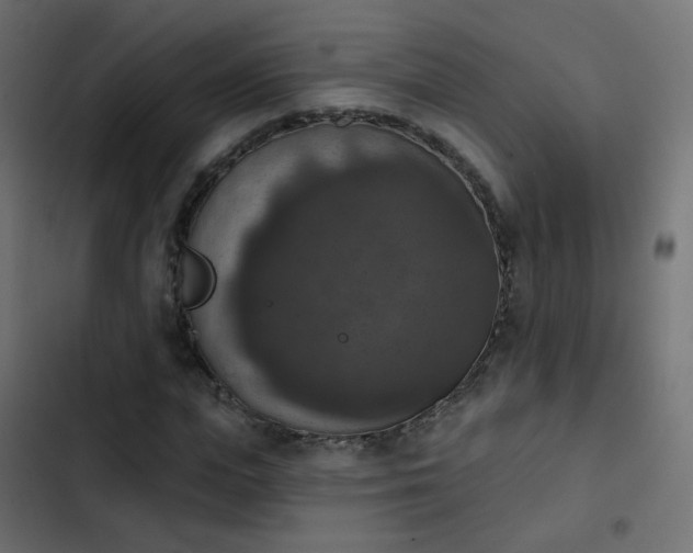 X0000103950823200809261746