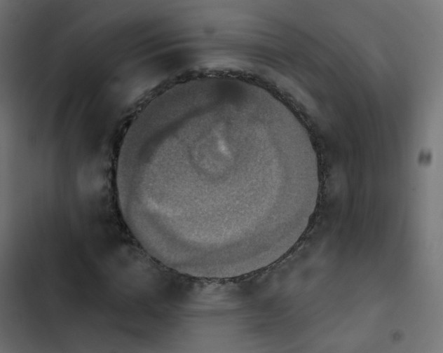 X0000103950824200809261746