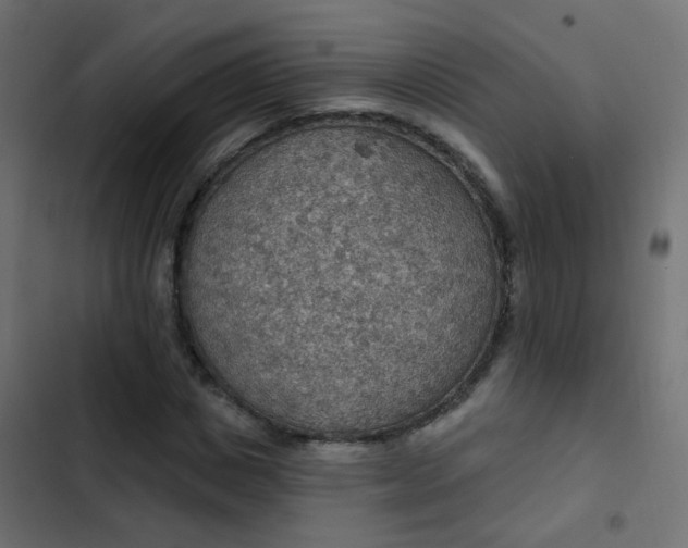 X0000103950825200809261746