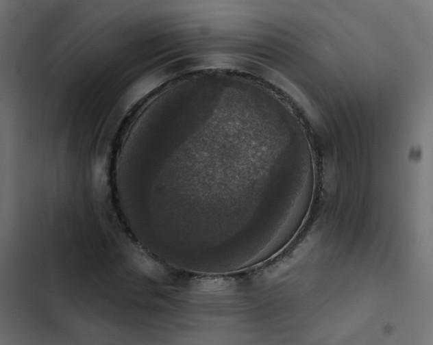 X0000103950826200809261746