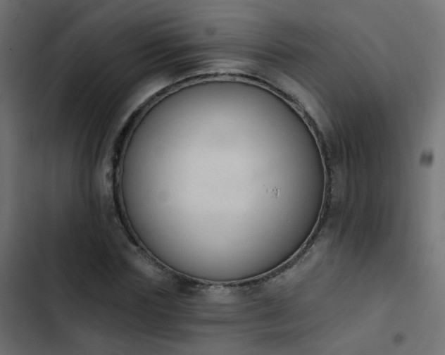 X0000103950827200809261746