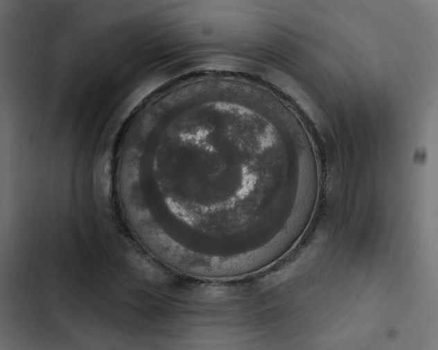 X0000103950829200809261746