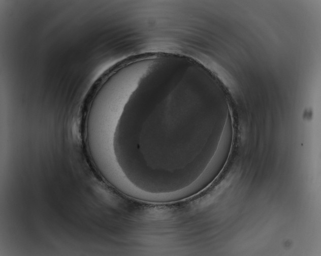 X0000103950830200809261746