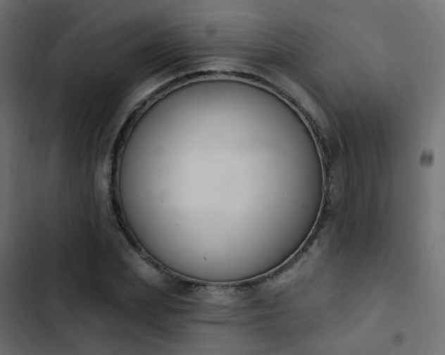 X0000103950831200809261746