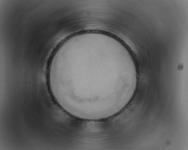 X0000103950832200809261746