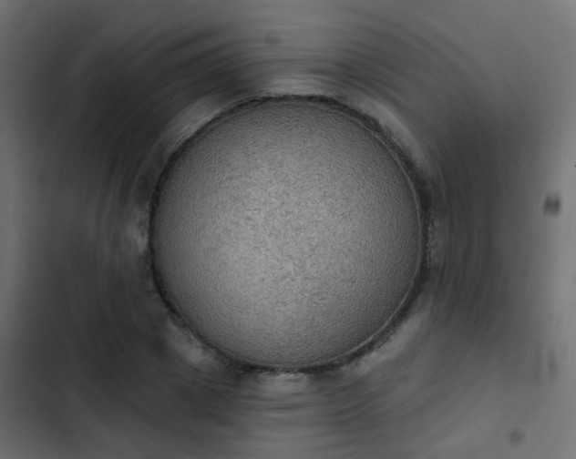 X0000103950833200809261746