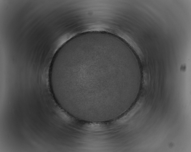 X0000103950834200809261746