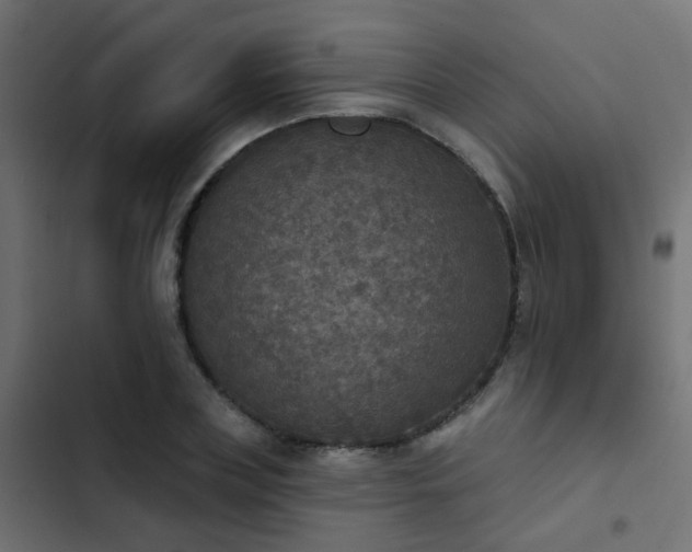 X0000103950835200809261746