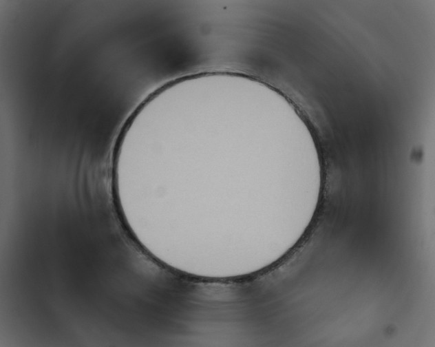 X0000103950836200809261746