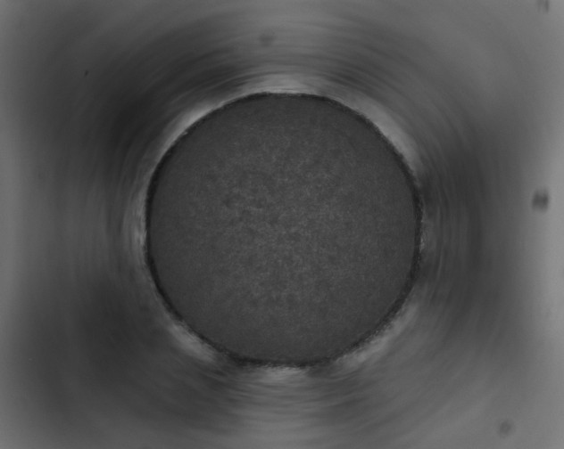 X0000103950837200809261746