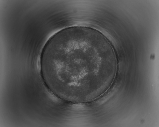 X0000103950838200809261746