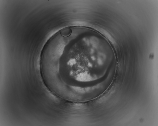 X0000103950839200809261746