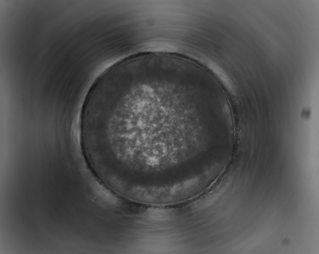 X0000103950840200809261746