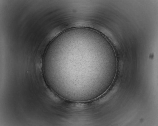 X0000103950841200809261747