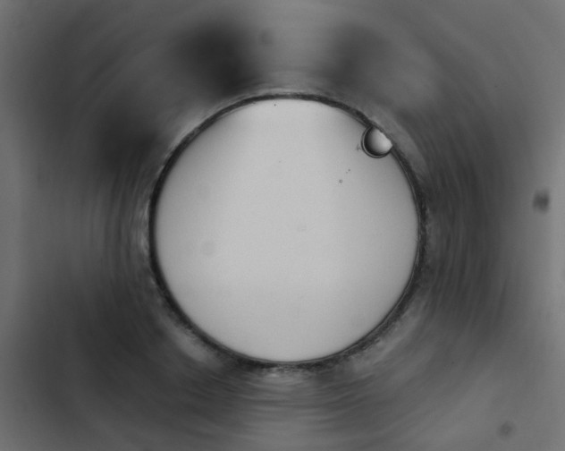 X0000103950842200809261747