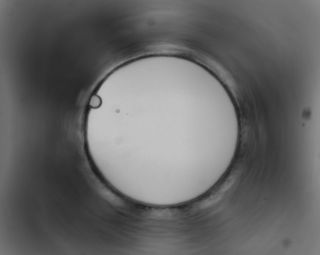 X0000103950843200809261747