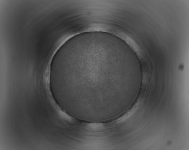 X0000103950844200809261747