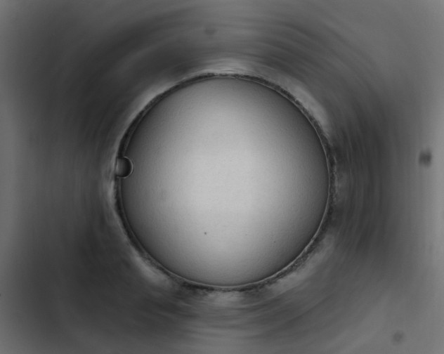 X0000103950845200809261747