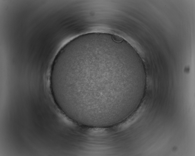 X0000103950846200809261747