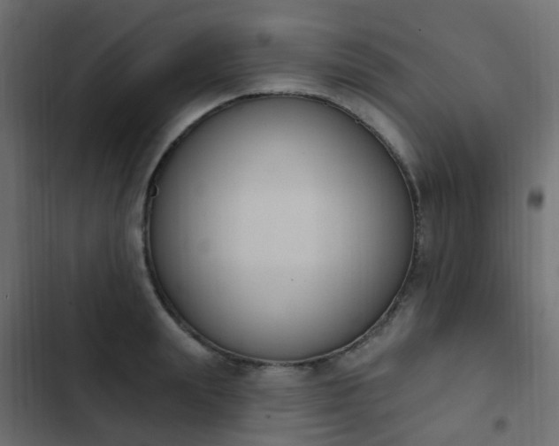 X0000103950847200809261747