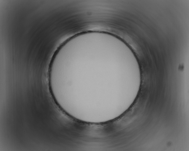 X0000103950848200809261747