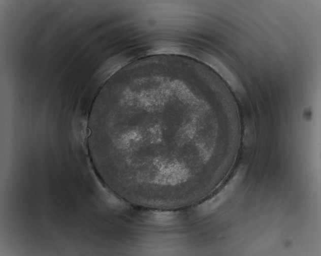 X0000103950849200809261747