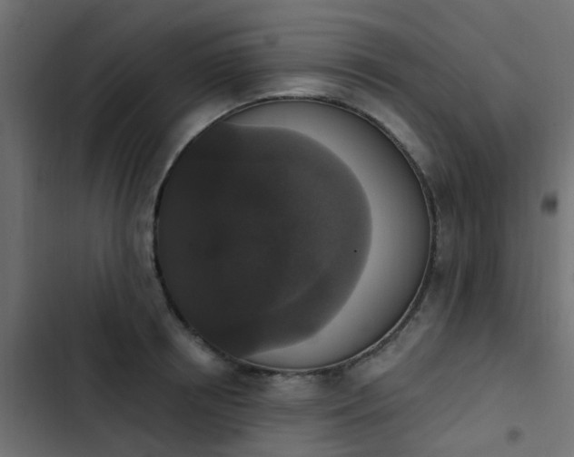 X0000103950850200809261747