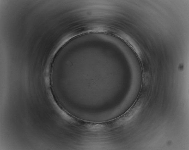 X0000103950851200809261747