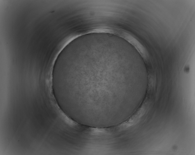 X0000103950852200809261747