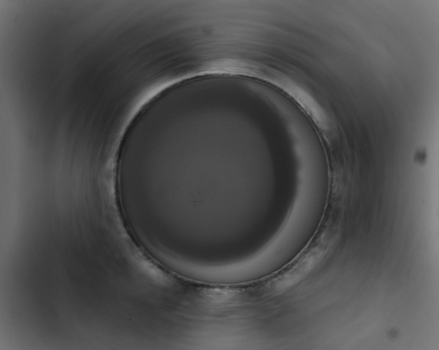 X0000103950854200809261747