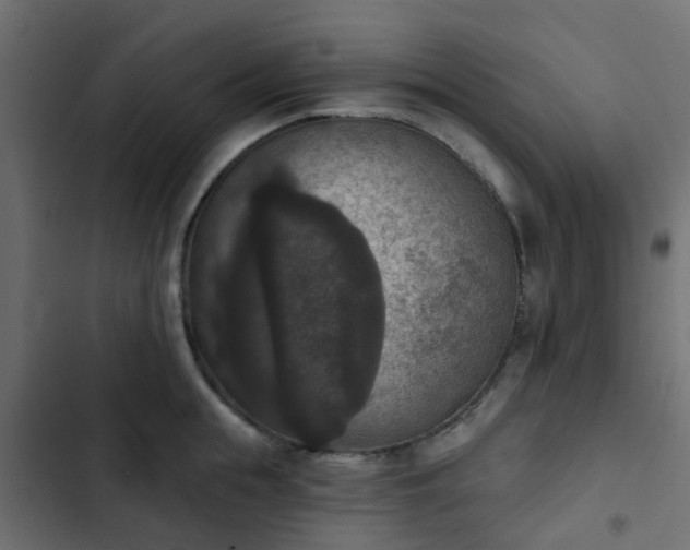 X0000103950855200809261747