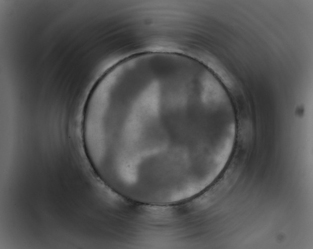 X0000103950856200809261747