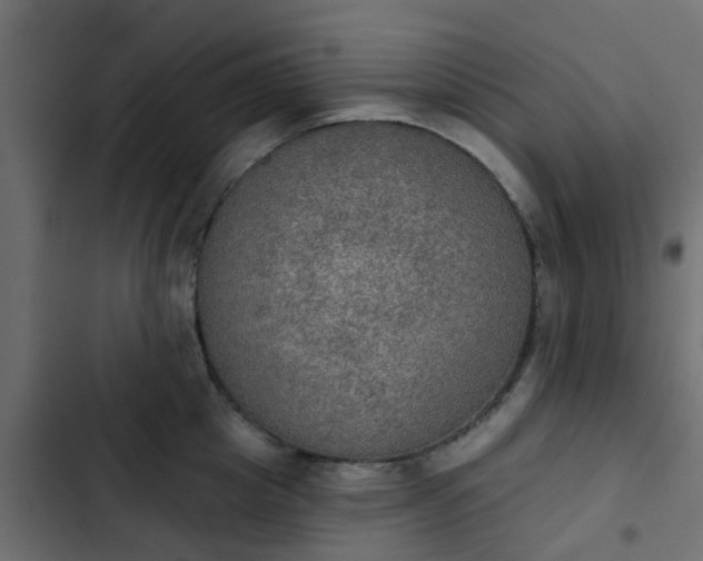 X0000103950857200809261747