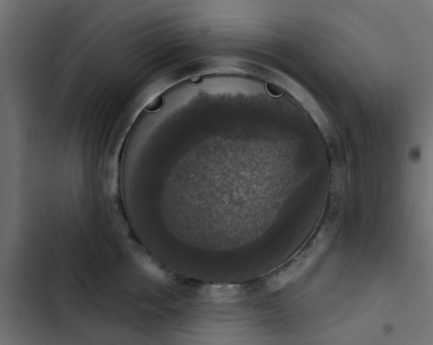 X0000103950858200809261747