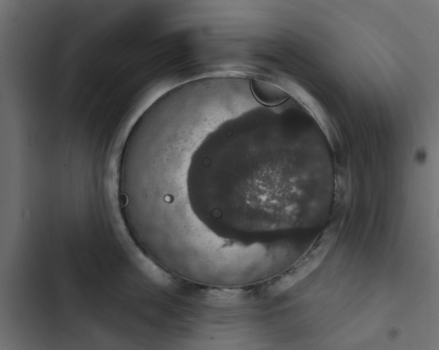 X0000103950859200809261747