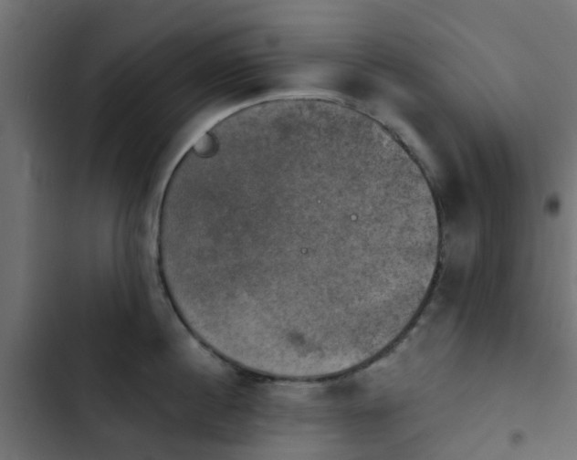 X0000103950860200809261747