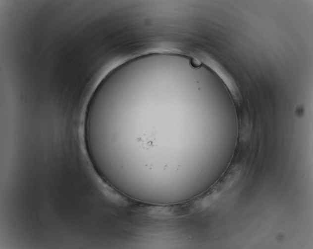 X0000103950861200809261747