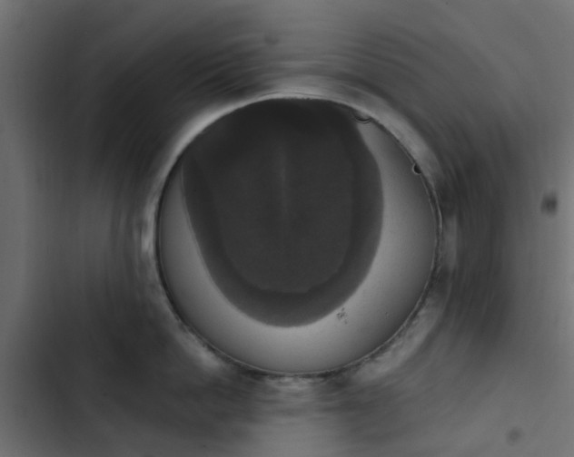 X0000103950862200809261747