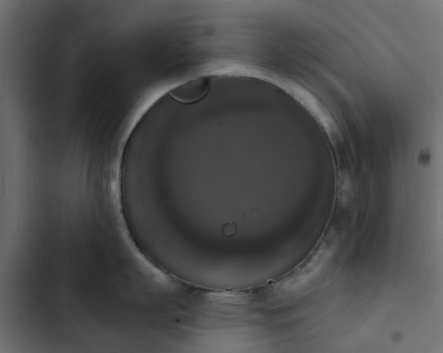 X0000103950863200809261747